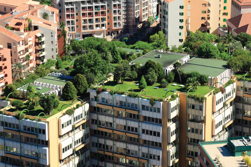 Dachbegrünung in der Stadt