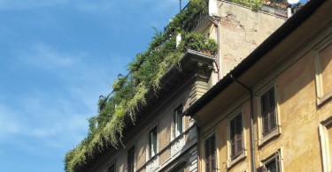 Kleine Grünflächen in der Stadt