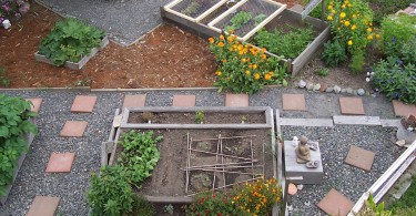Urban Gardening