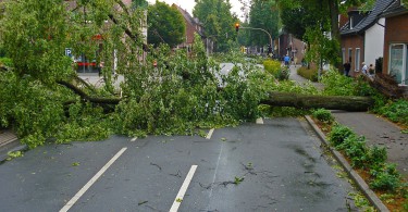 Hitze und Unwetter