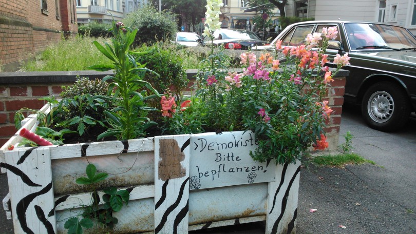 Urban Gardening