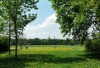 Englischer Garten in München