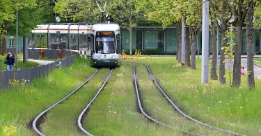 Straßenbahn in Augsburg