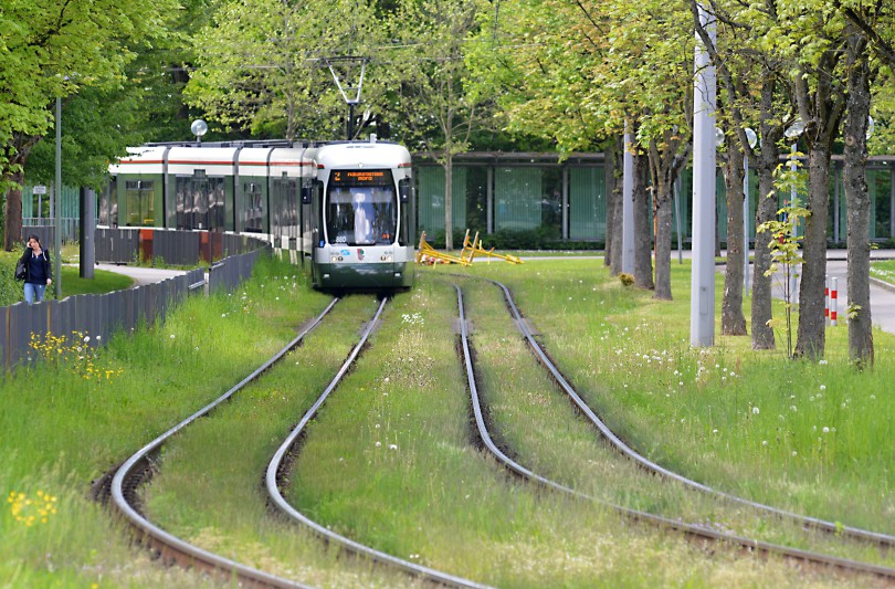 Straßenbahn in Augsburg