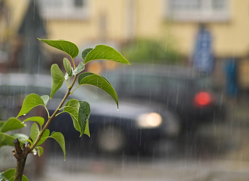 Regenwetter