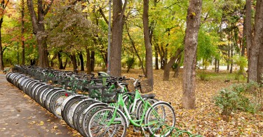 Wettbewerb für Radfahrer