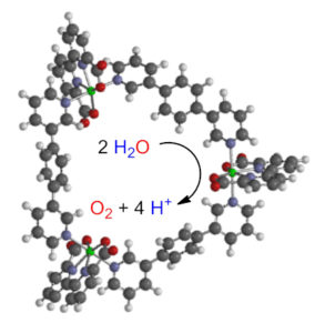 Photosynthese