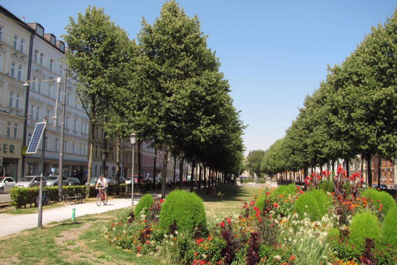 Bäume auf dem Bordeauxplatz in München