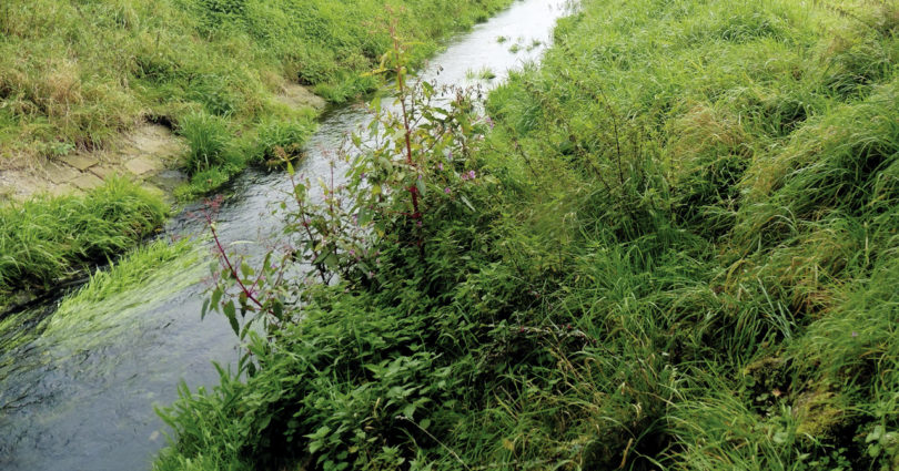 Spurenstoffe in Gewässern