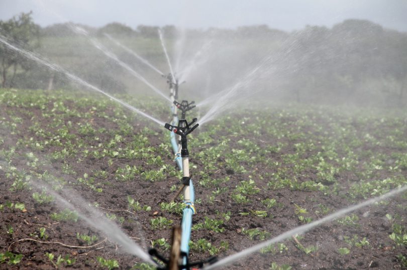 Gereinigtes Abwasser