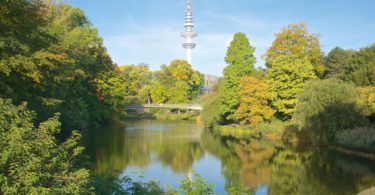 Städtisches Baum- und Waldmanagement