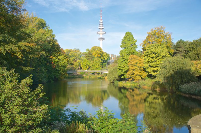 Städtisches Baum- und Waldmanagement