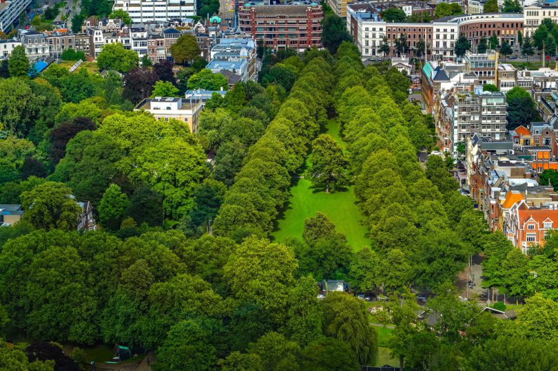 Wer am Wald wohnt, hat eine gesündere Amygdala