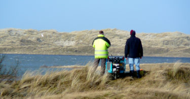 Dünenfeld auf Borkum