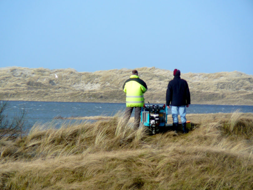 Dünenfeld auf Borkum