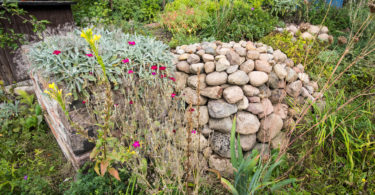 Garten oder Balkon: naturnah gestaltet