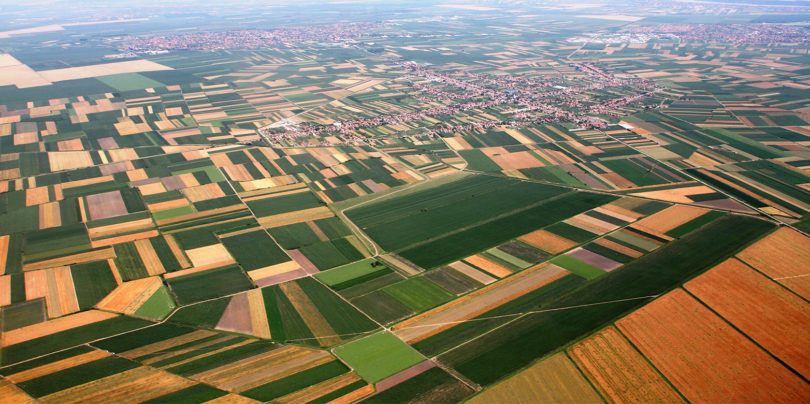 Reflektierende Oberflächen dämpfen Hitzewellen