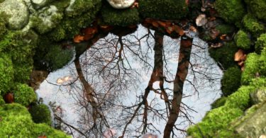 Wie man Grundwasser schützt und nutzt