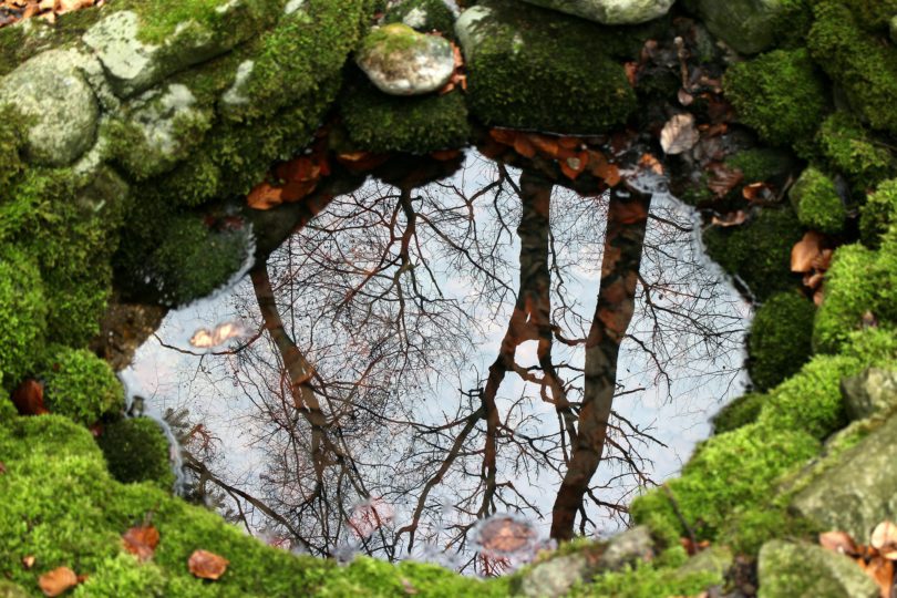 Wie man Grundwasser schützt und nutzt