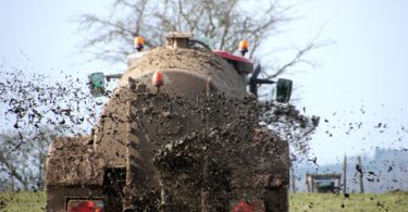 Das Ausbringen von Gülle auf FeldeHohe Nitratwerte im Grundwasser