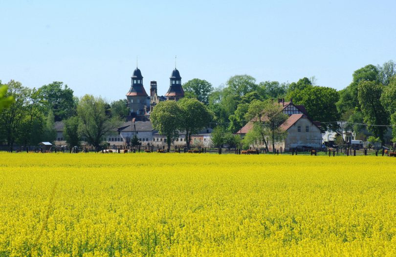 Ländliche Räume als attraktive Wohnstandorte?