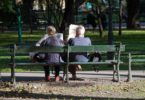 Natur erleben im Stadtpark