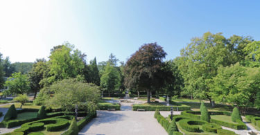 Allergiepotenzial von Stadtparks