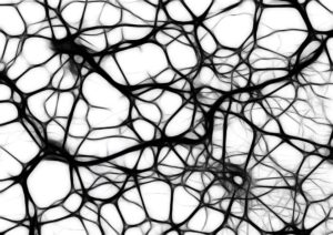 Künstliche neuronale Netze