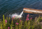 Wie halten wir das Trinkwasser sauber?