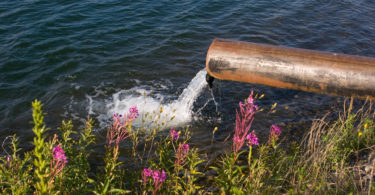 Wie halten wir das Trinkwasser sauber?