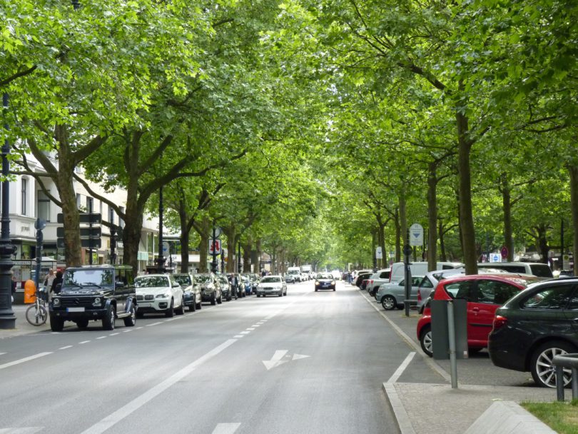 Kleine, bepflanzte Oasen in der Stadt