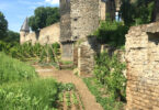 Stadtmauer Andernach