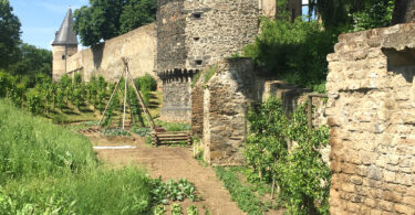 Stadtmauer Andernach