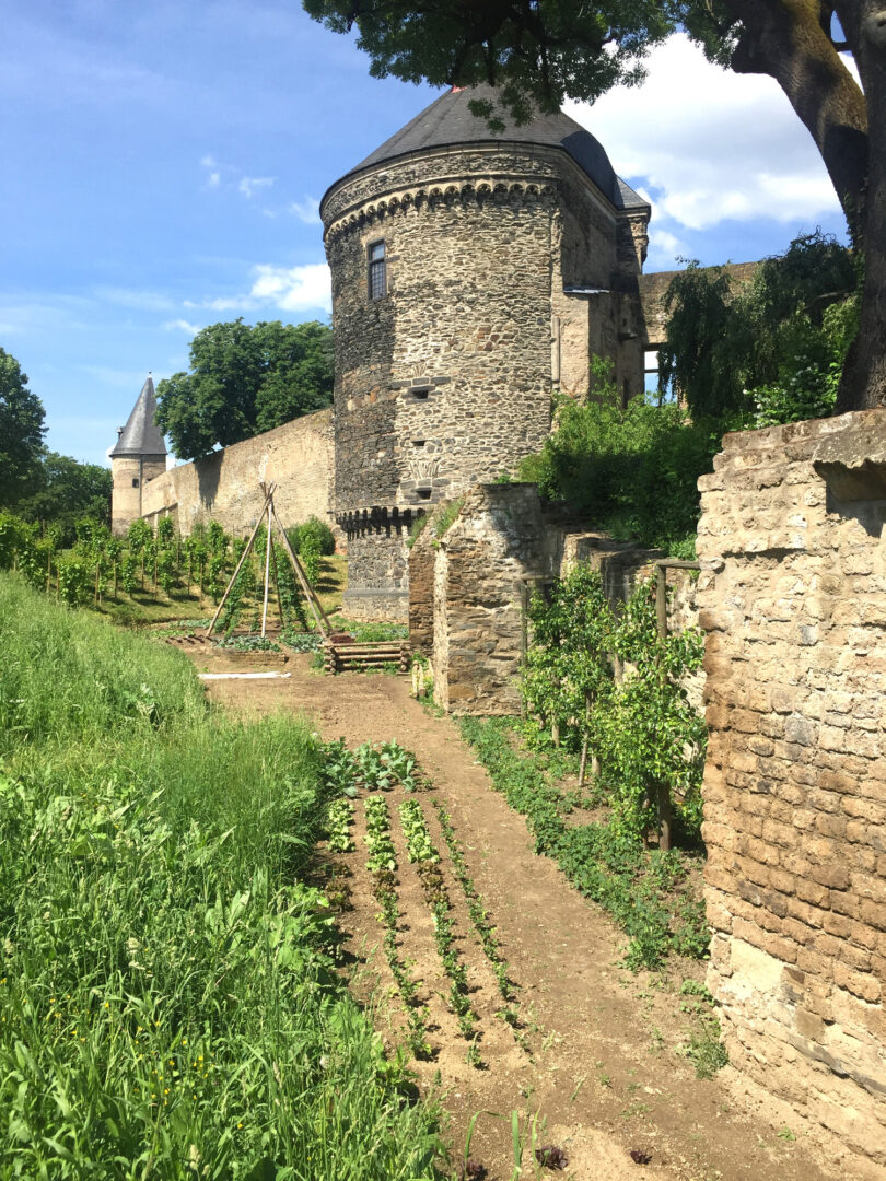 Stadtmauer Andernach