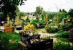 Bauprojekte bedrohen urbane Gärten in Stuttgart und Berlin