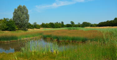 Regenrückhaltebecken