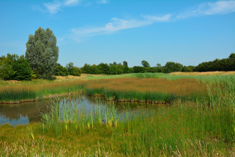 Regenrückhaltebecken