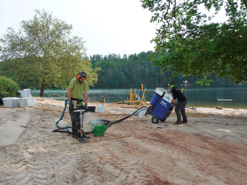 Gesunde Bäume für ein gutes Stadtklima