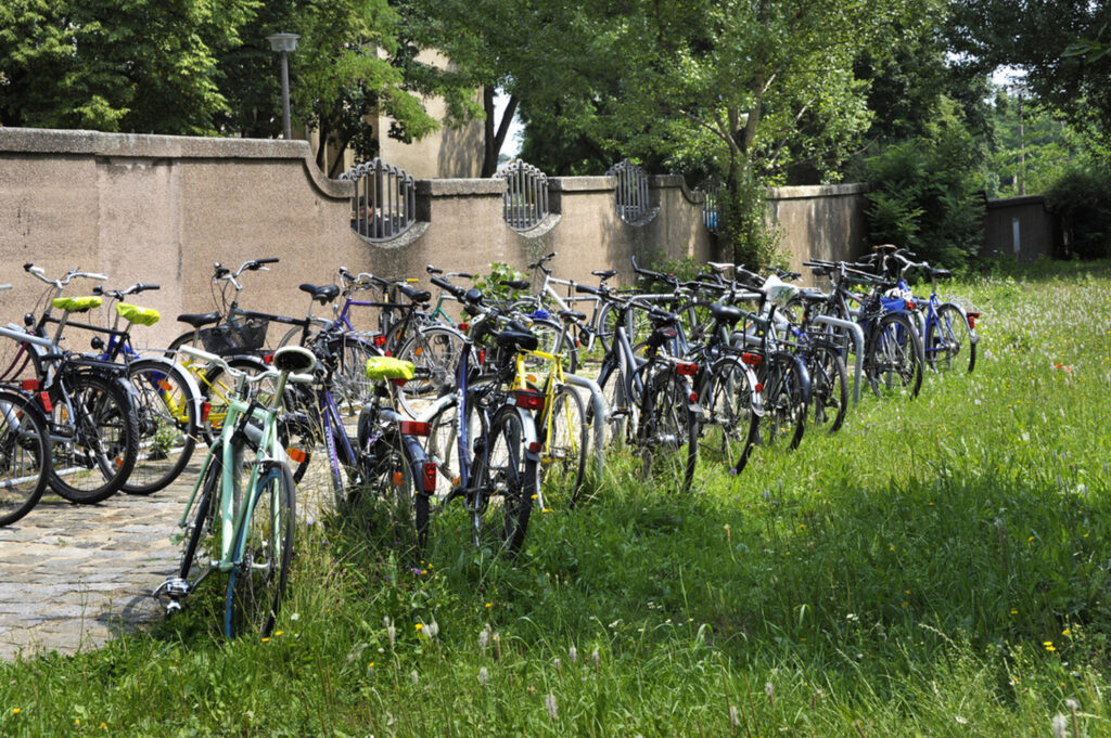 Umfrage Das Fahrrad, ein Verkehrsmittel für alle?