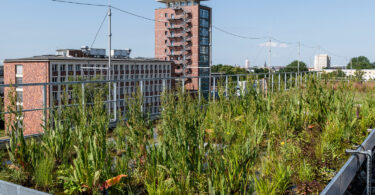 Blau-grüne Infrastrukturen für ein neues Stadtquartier