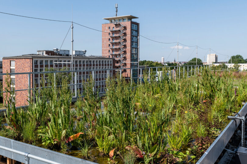 Blau-grüne Infrastrukturen für ein neues Stadtquartier