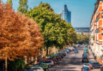 Straßenbäume als Mittel gegen Depressionen