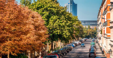 Straßenbäume als Mittel gegen Depressionen