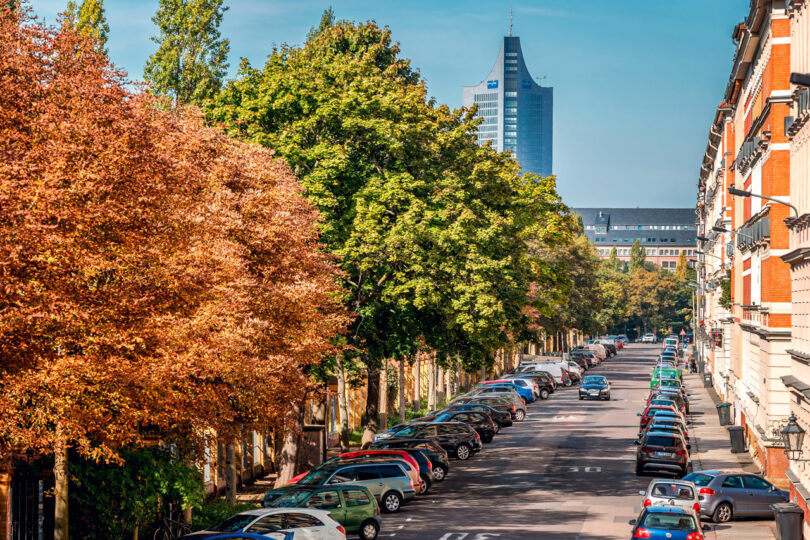 Straßenbäume als Mittel gegen Depressionen