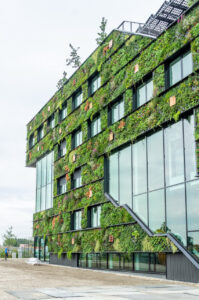 Growing Green Cities