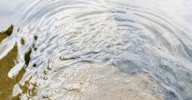 Sinkende Grundwasserspiegel