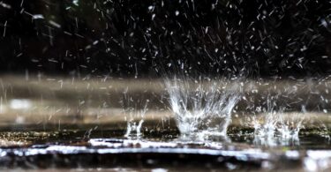 Regenwasser für nachhaltige Quartiere