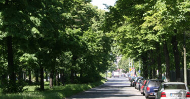 Schwammstadt
