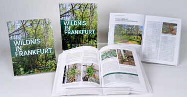 Wildnis in Frankfurt