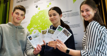 DBU-Ausstellung „Grün Stadt Grau“